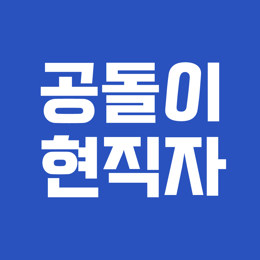 공돌이현직자